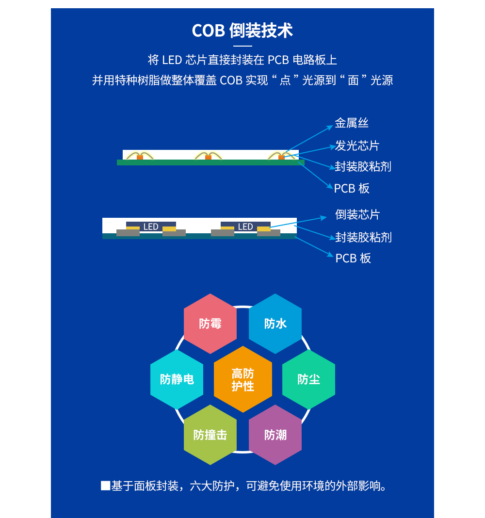 COB_P0.9_Bt_02.jpg